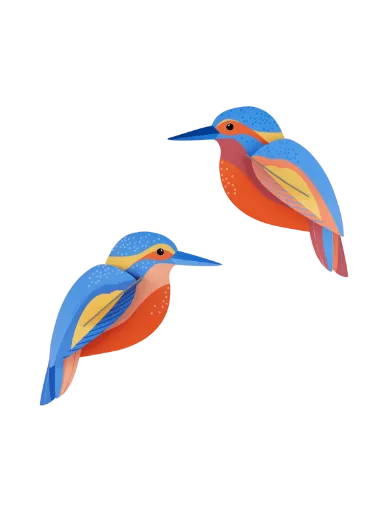 [TTM216] Oiseaux du jardin – martins-pêcheurs