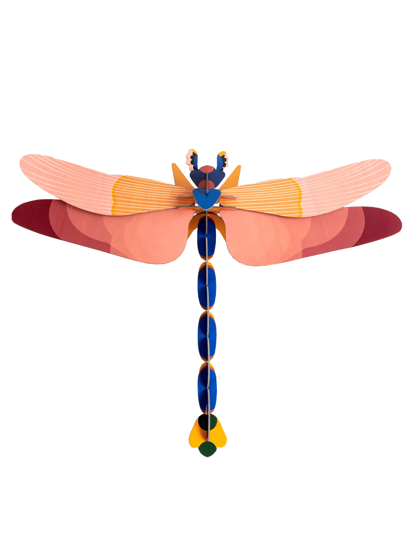 [TTM72] Insecte - libellule géante