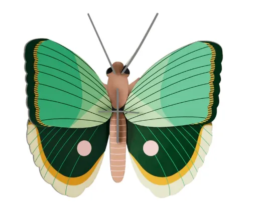 [IMA85] Petit insecte – papillon rayé fougère
