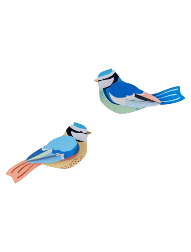 [TTM209] Oiseaux du jardin – mésanges bleues