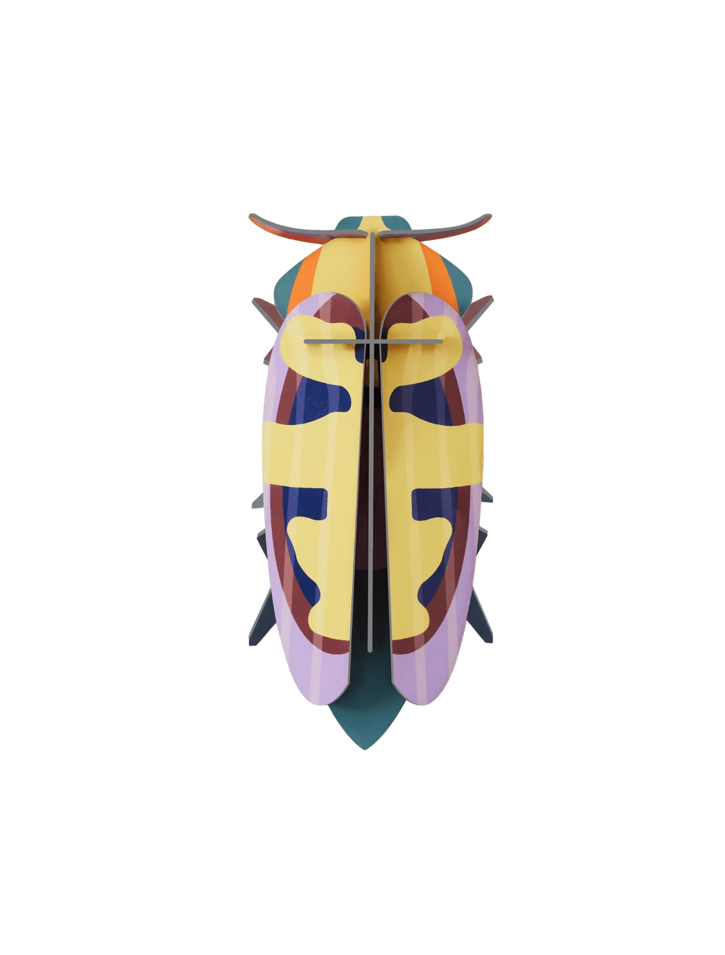 [IMA80] Petit insecte – scarabée fleur de mangue
