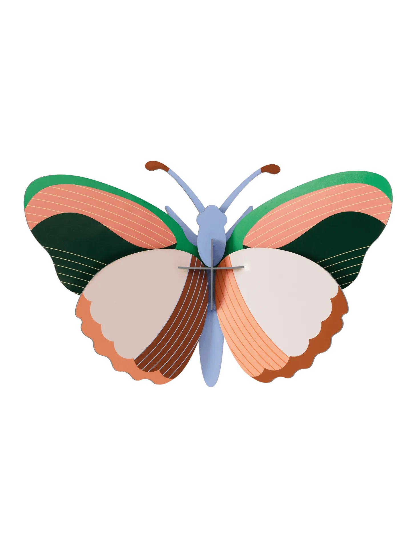 [TTM203] Papillon moyen – sycamore