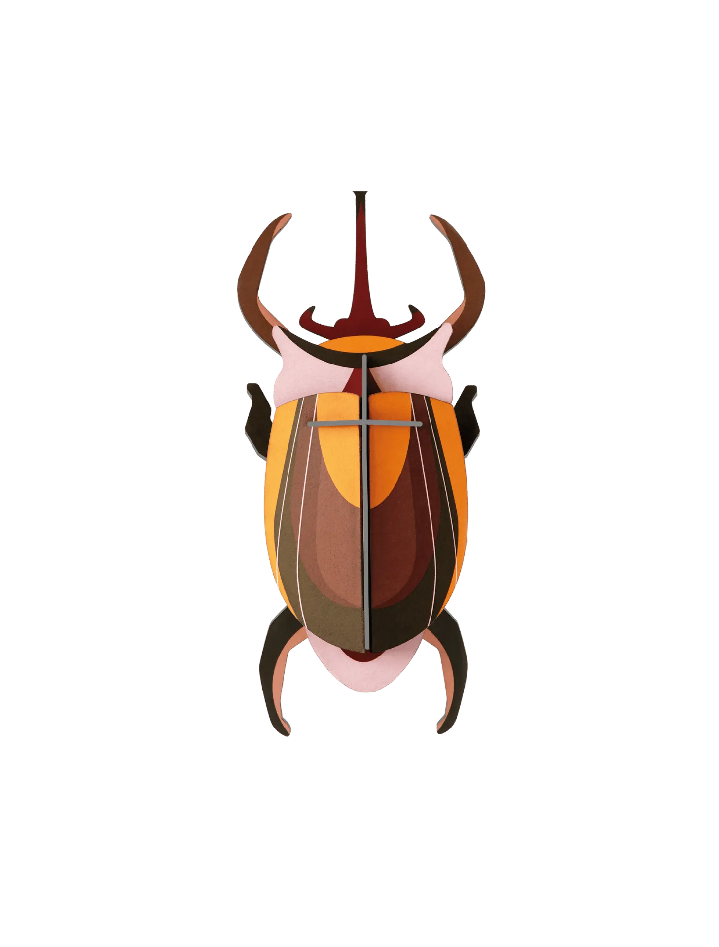 [IMA77] Petit insecte – scarabée éléphant