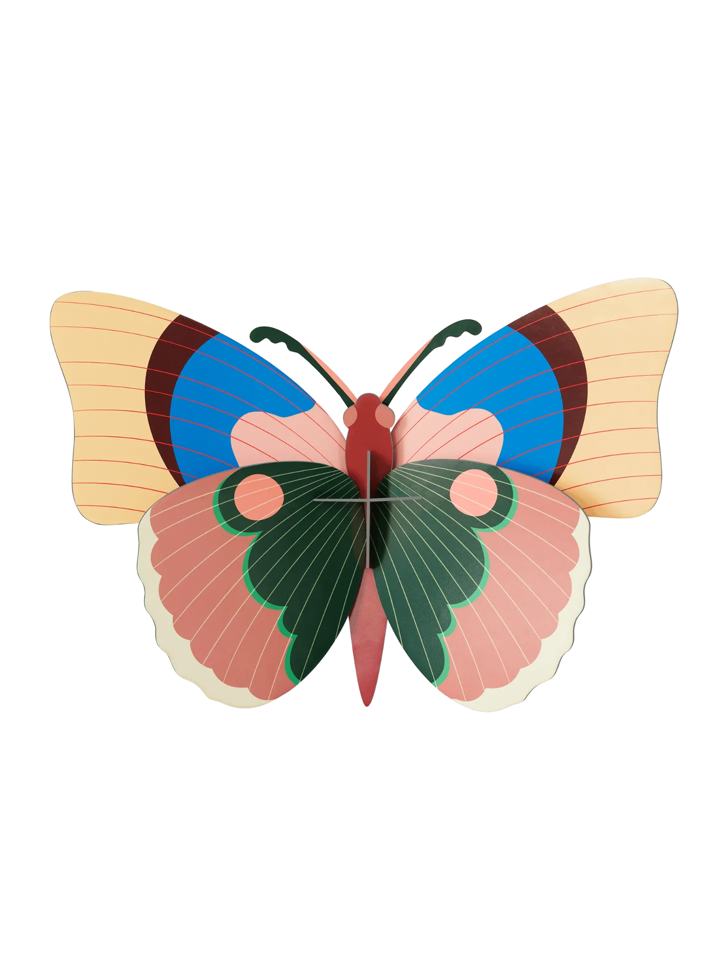 [TTM184] Grand insecte – papillon cepora