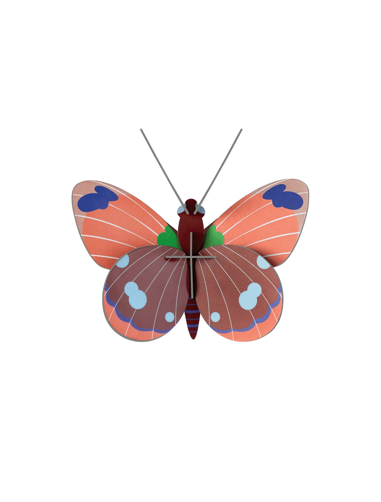 [IMA74] Petit insecte – papillon delias