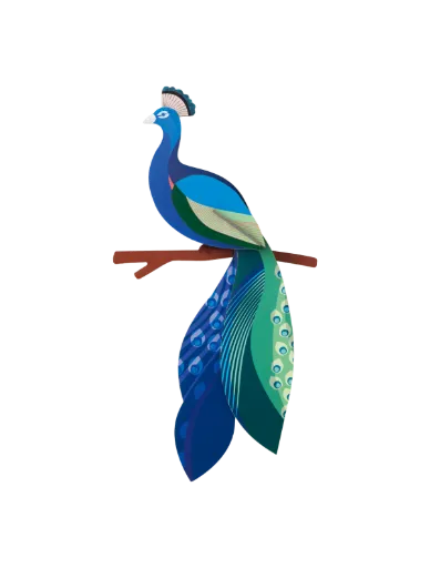 [TTM236] Oiseau de paradis - Paon