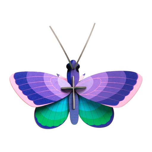 [IMA67] Grand insecte – papillon bleu cuivre