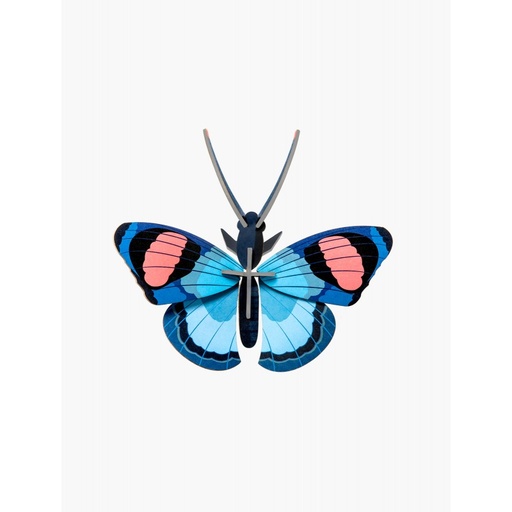 [IMA52] Grand insecte – papillon paon