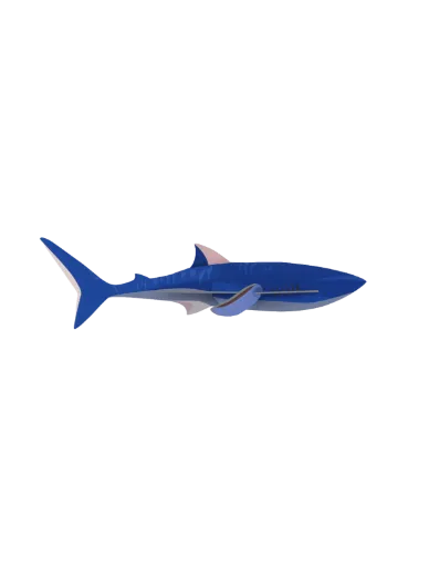 [IMA108] Créature marine - requin