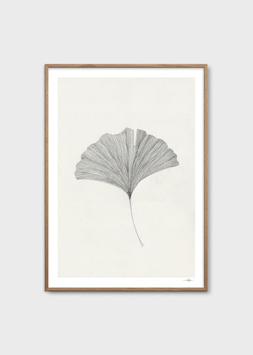 [10428-7] Ana frois, ginkgo leaf - 50x70 cm
