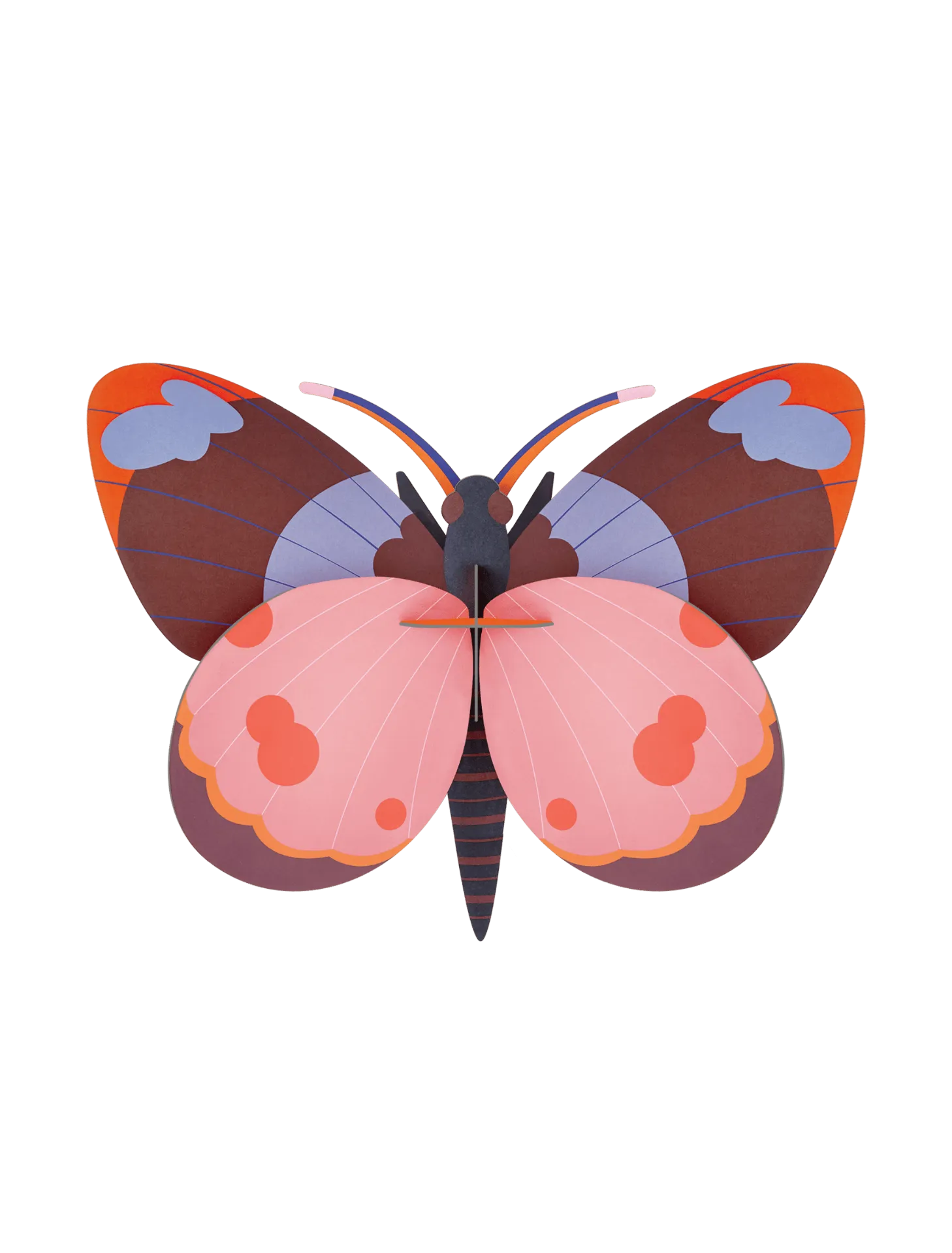[TTM144] Grand insecte – papillon Bellissima