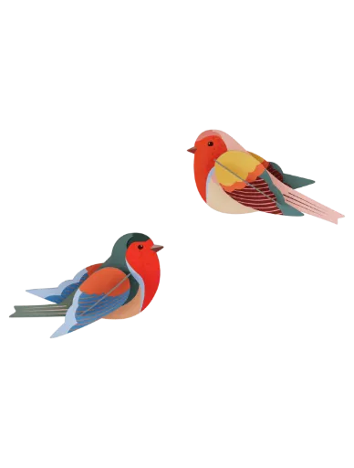 [TTM227] Oiseaux du jardin – paire de Citrinella