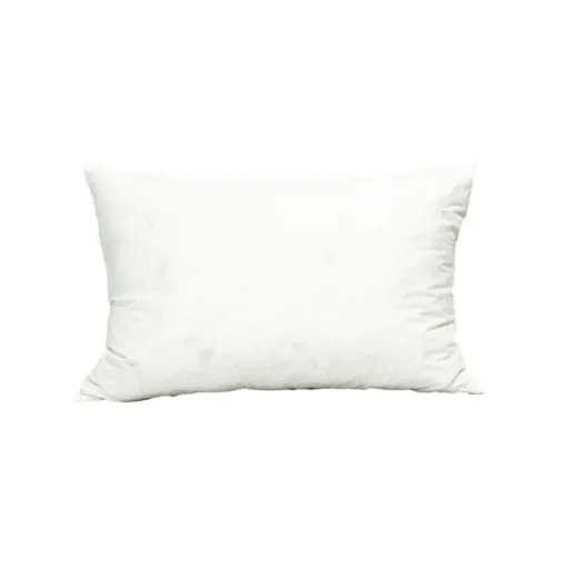 Intérieur de coussin plume