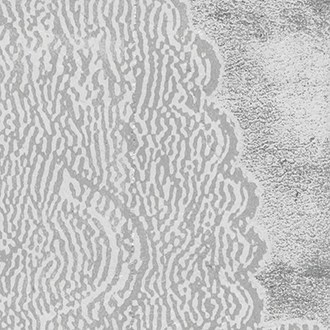 Papier peint Le grand mogol – Mille millions