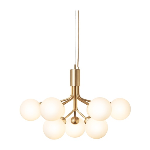 Lustre Apiales 9