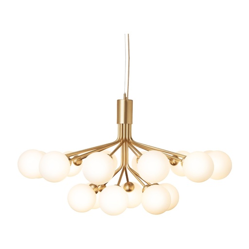 Lustre Apiales 18